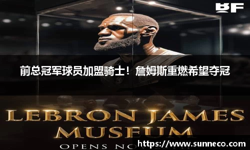 前总冠军球员加盟骑士！詹姆斯重燃希望夺冠