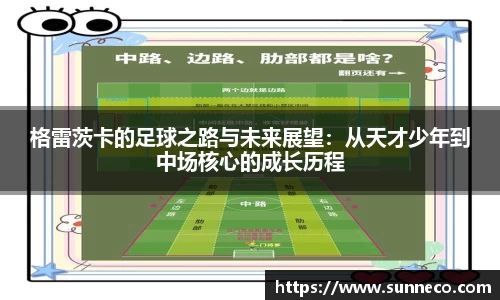 星空官网