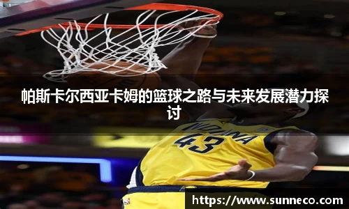 星空官网