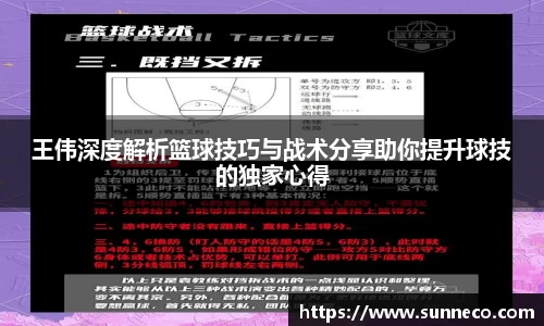 王伟深度解析篮球技巧与战术分享助你提升球技的独家心得